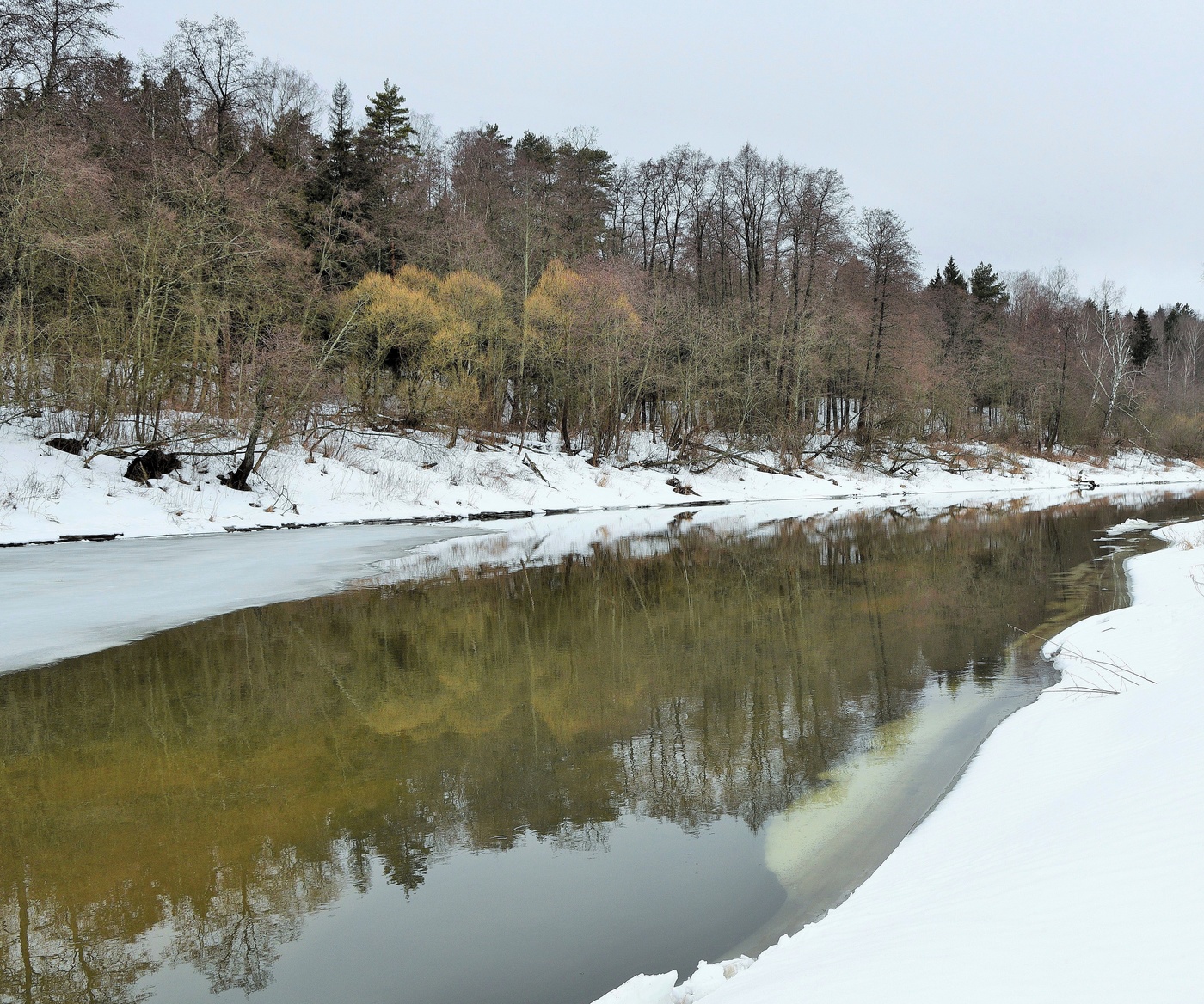 "И лес раздет и непокрыт ..."
