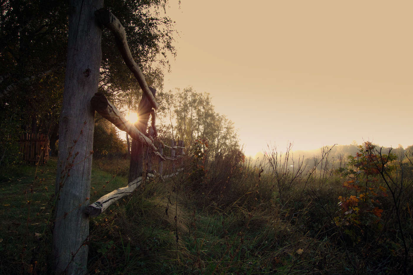 Рассвет за околицей