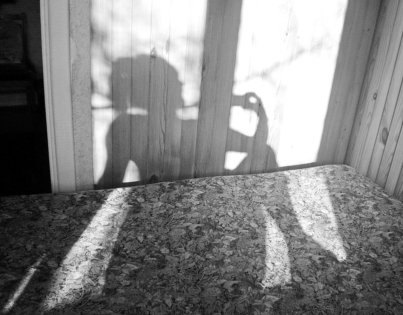 скоро весна