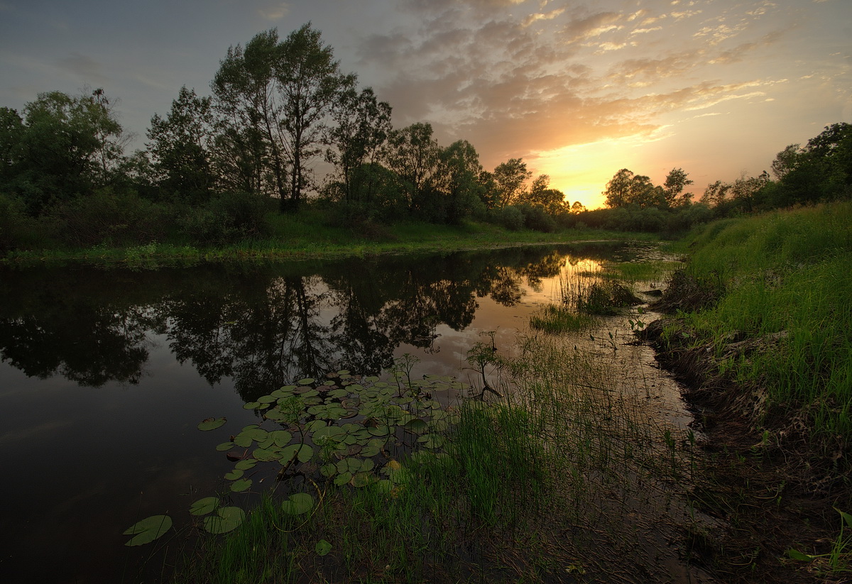 Летний вечер