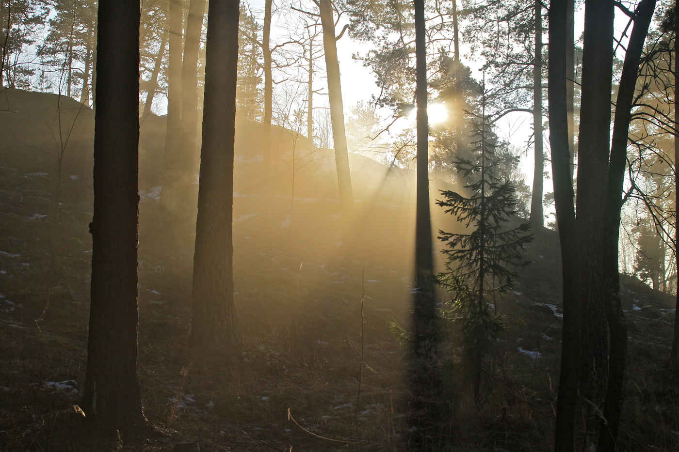 Светит, но не греет