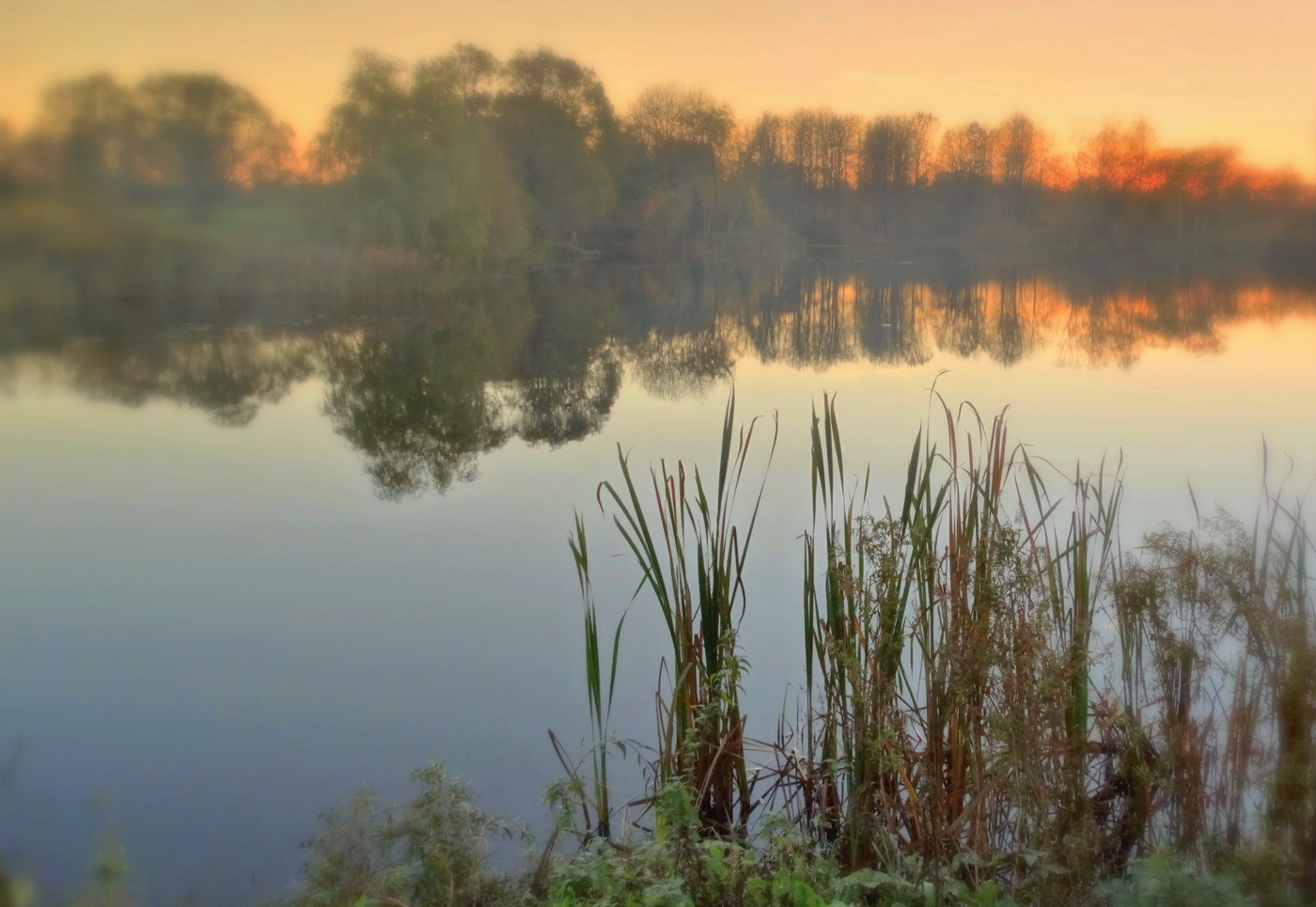 Осенний сон