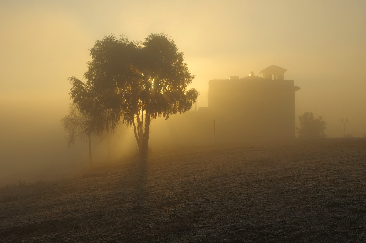 The House Of The Rising Sun