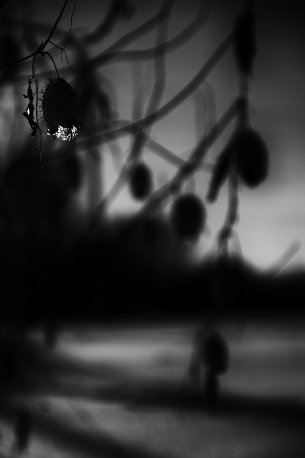 последний фонарик