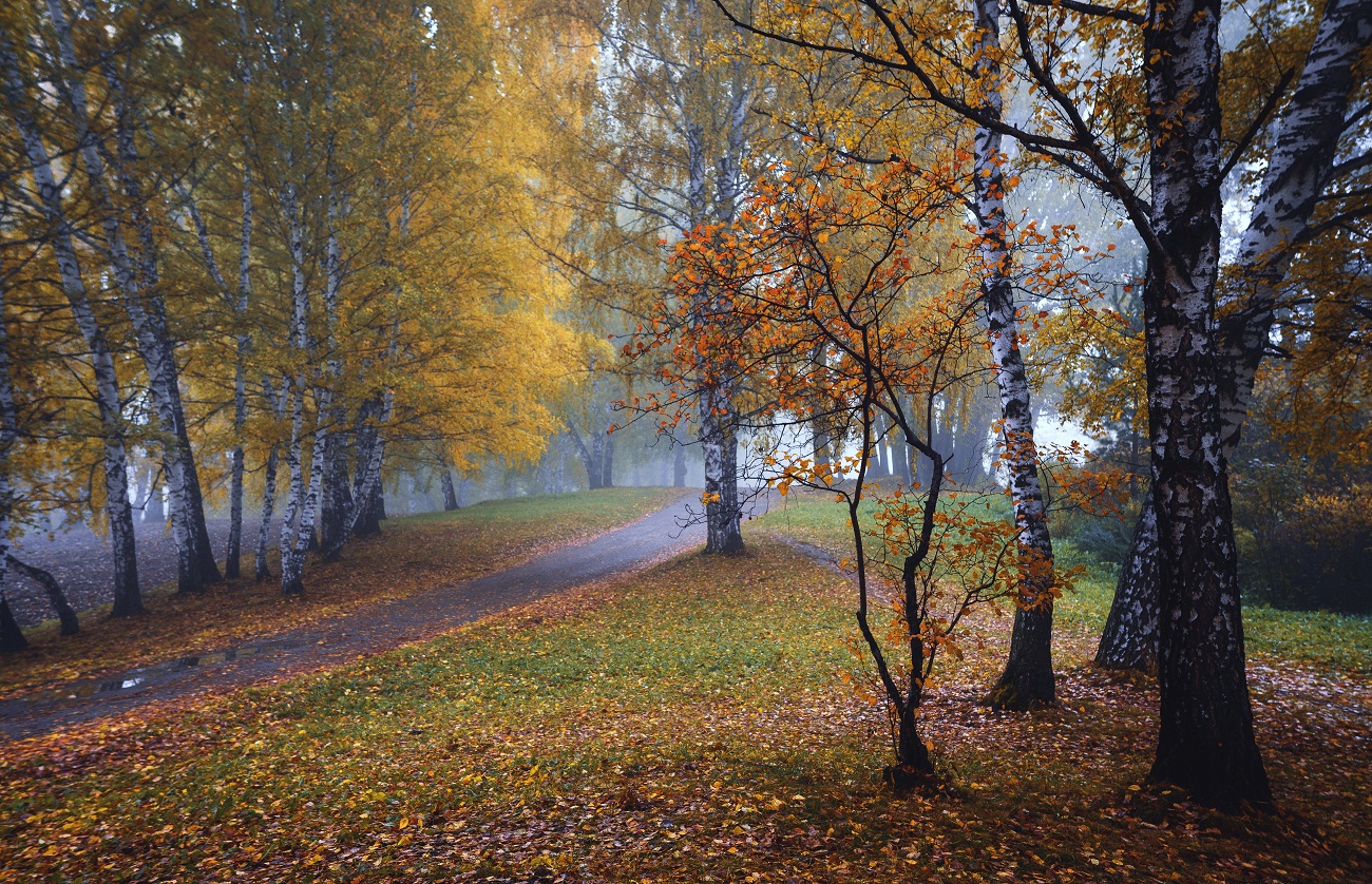 Осенняя палитра.