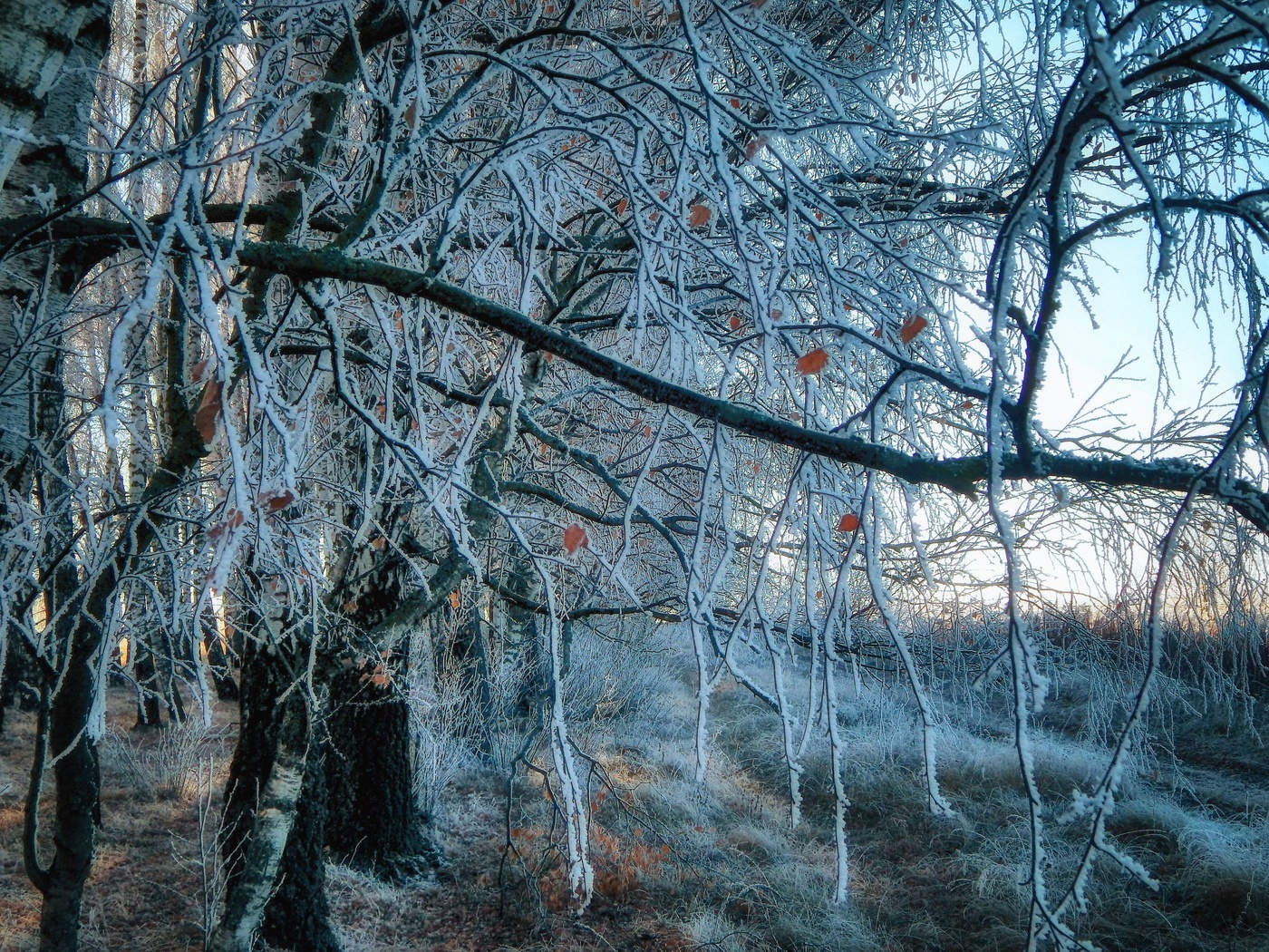 Замороженная пятница