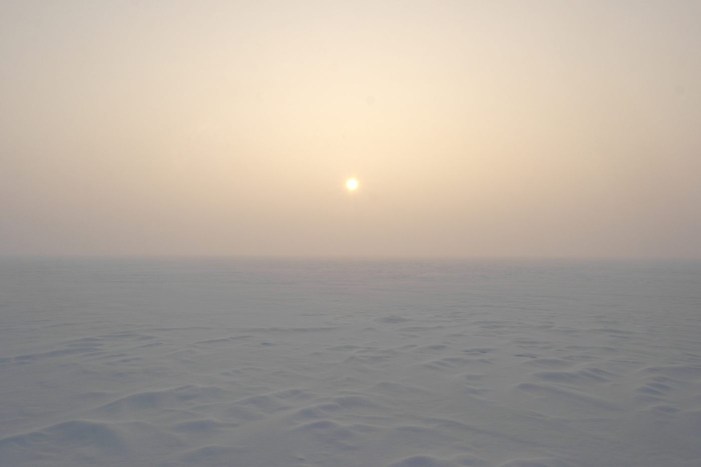 Замороженная пятница