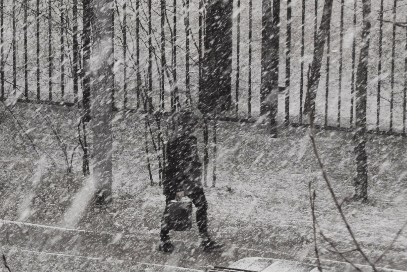 Замороженная пятница