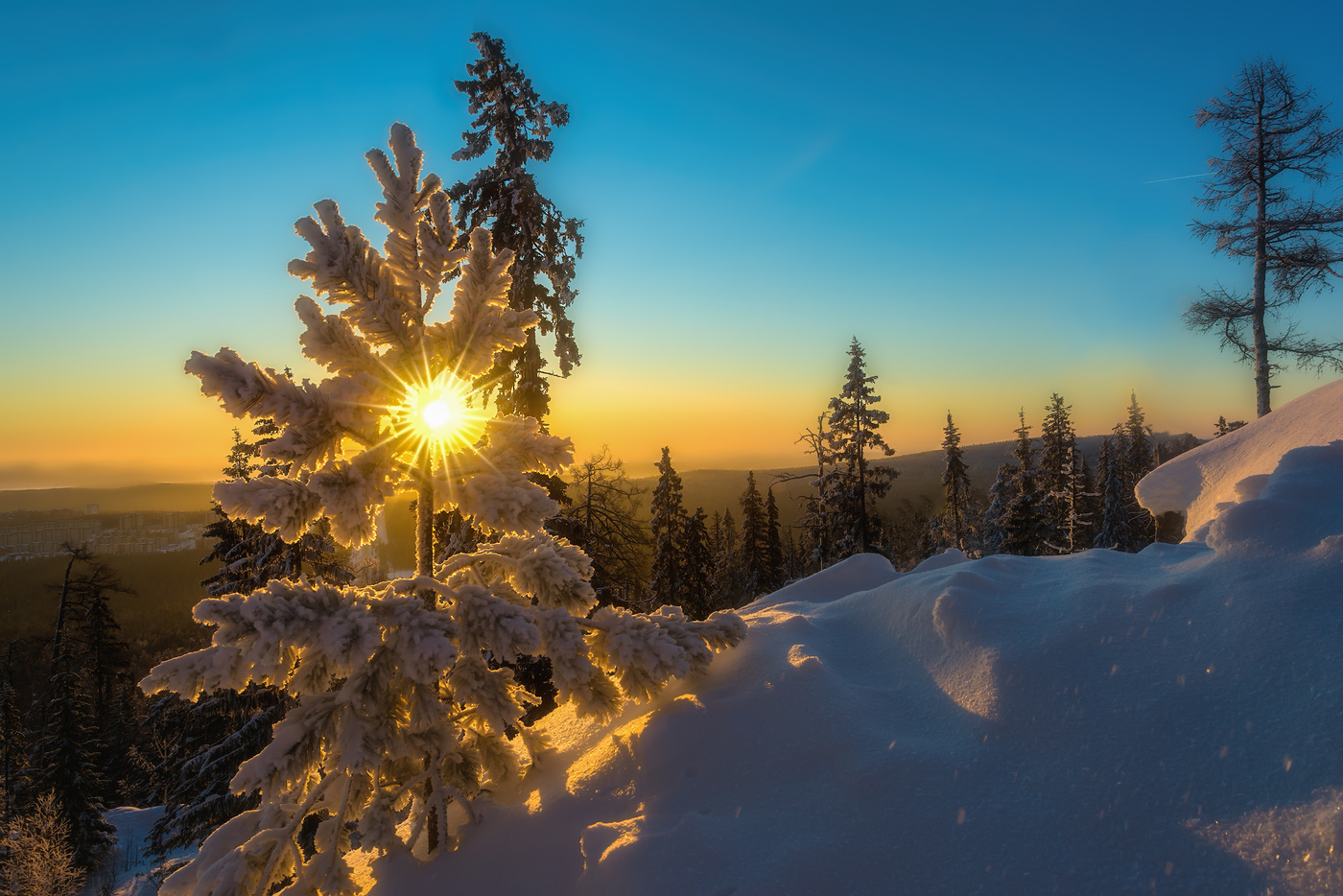 Утреннее солнышко