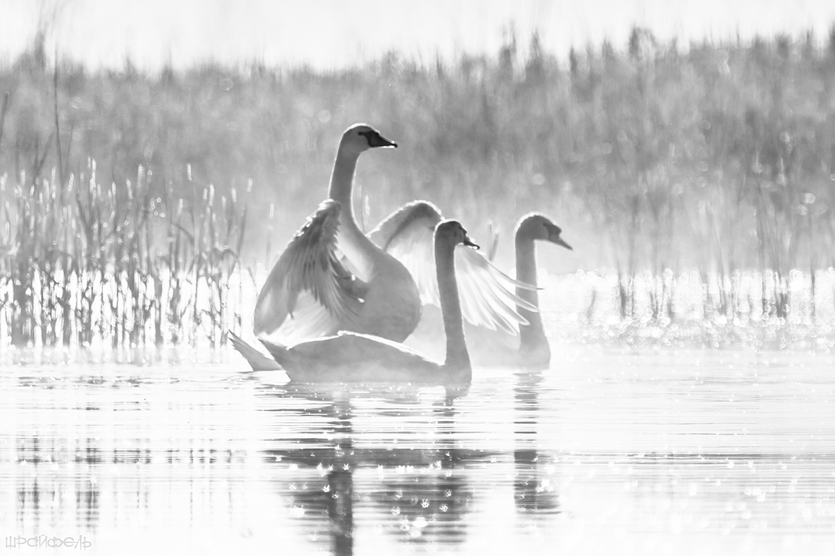 Туман рассеялся