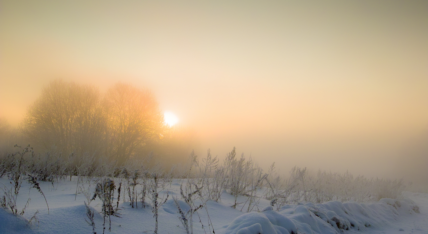 Сквозь плотный туман...