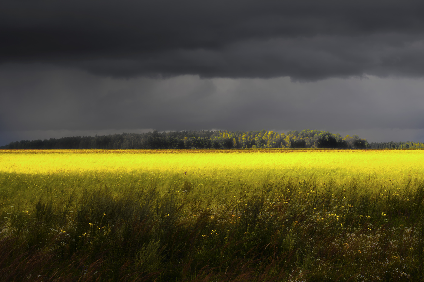 перед грозой