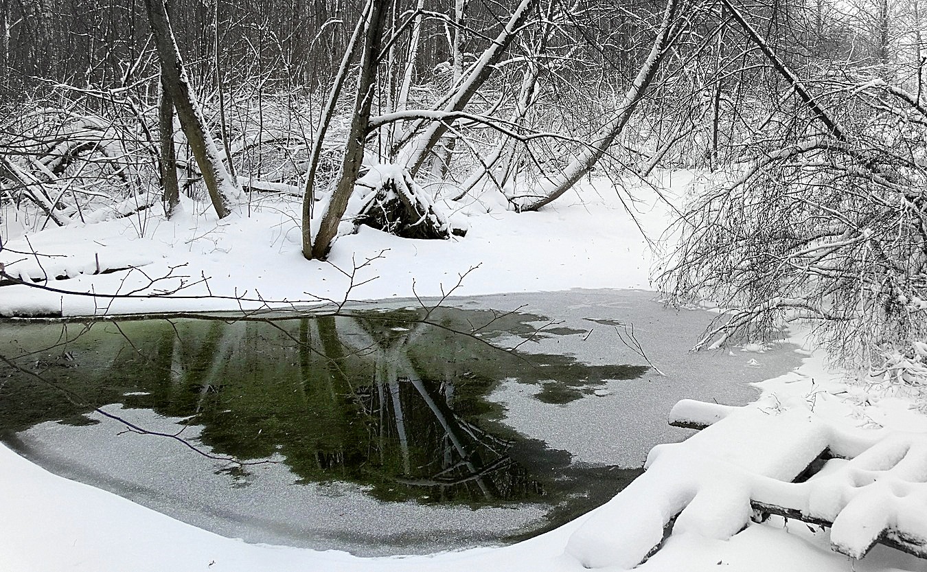 Зимний омут
