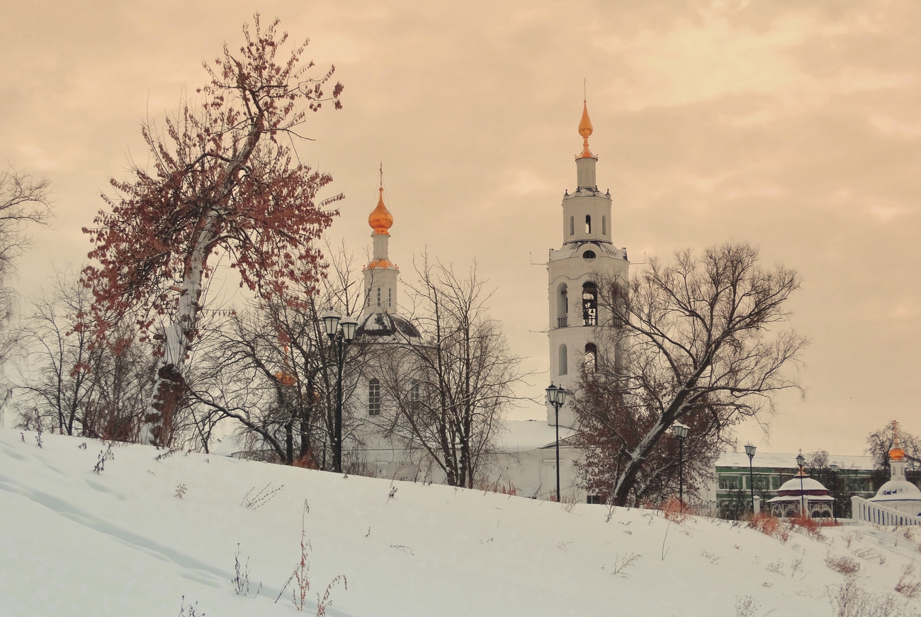 Зимой дуб с листвой