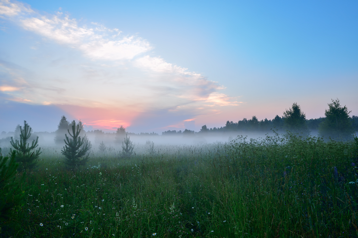 туман вечернмй