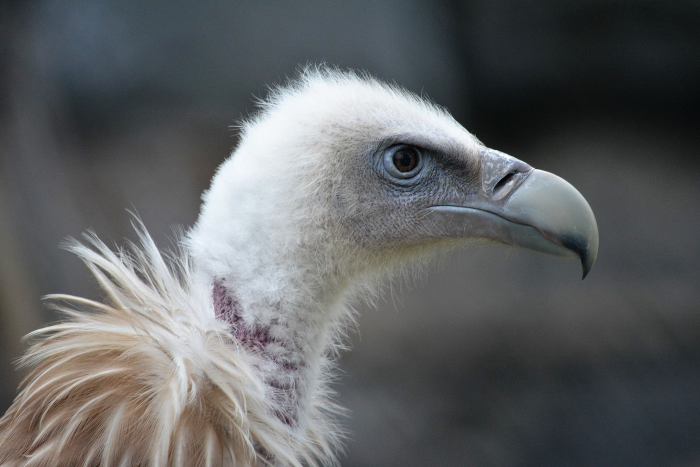 Под грифом СЕКРЕТНО.