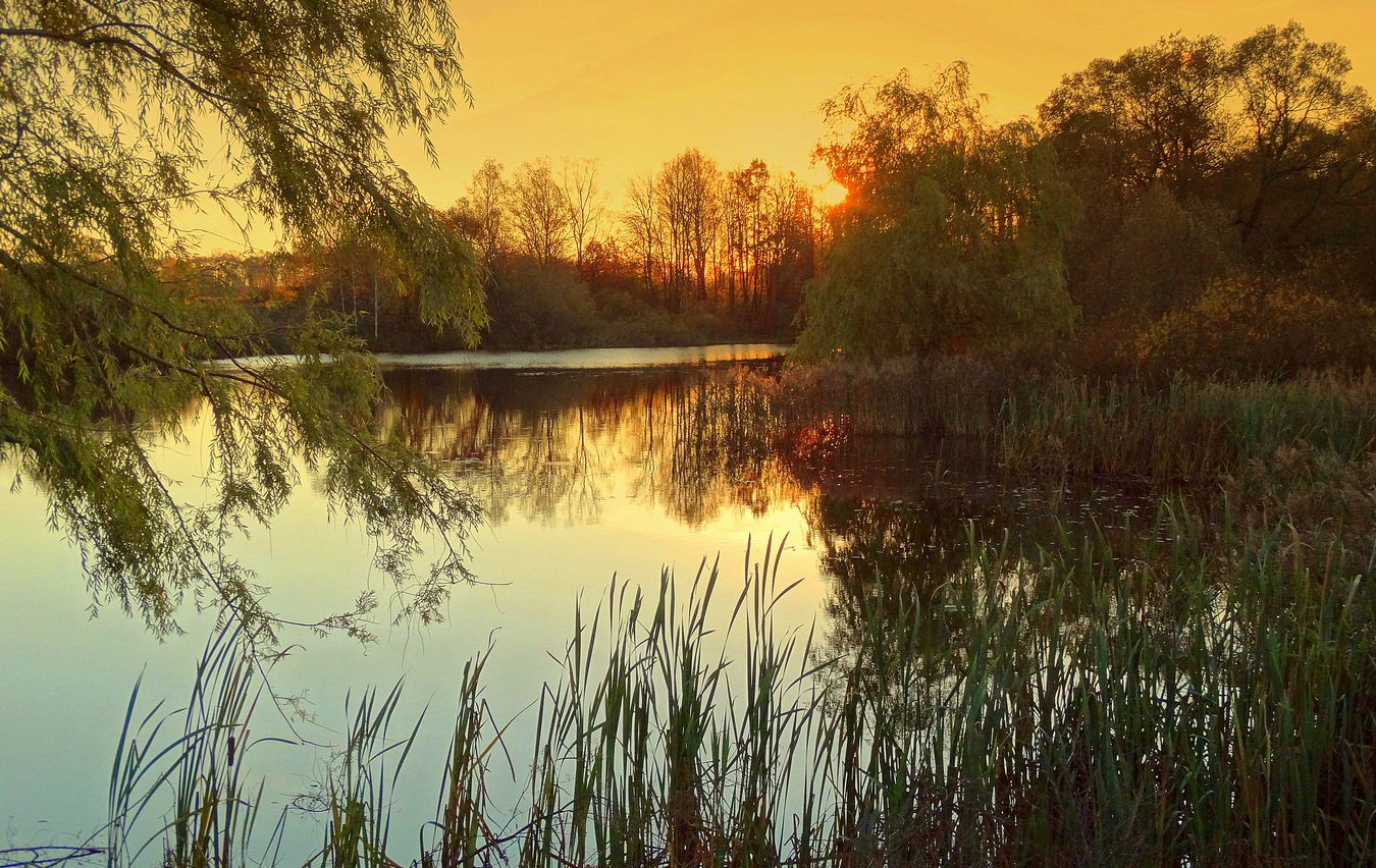 Осенний ласковый вечер