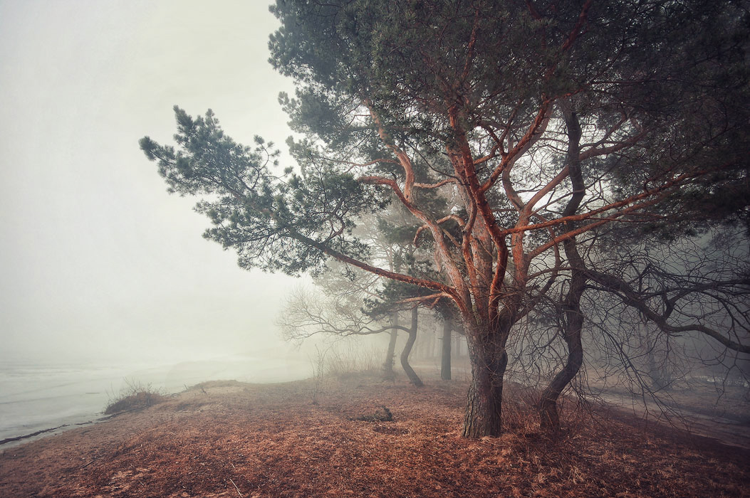 Осеннее настроение