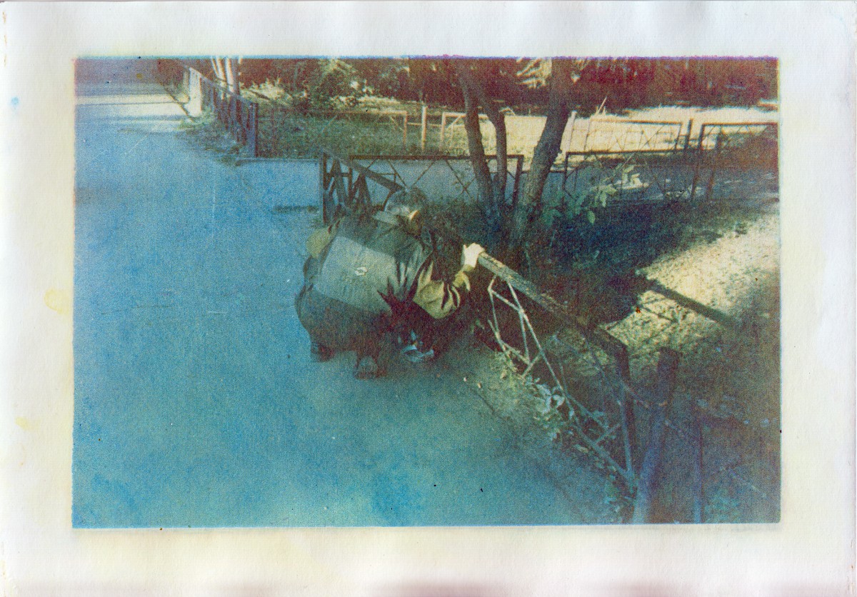 Кормление кота