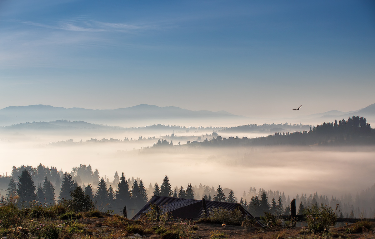 Осенняя с птицей