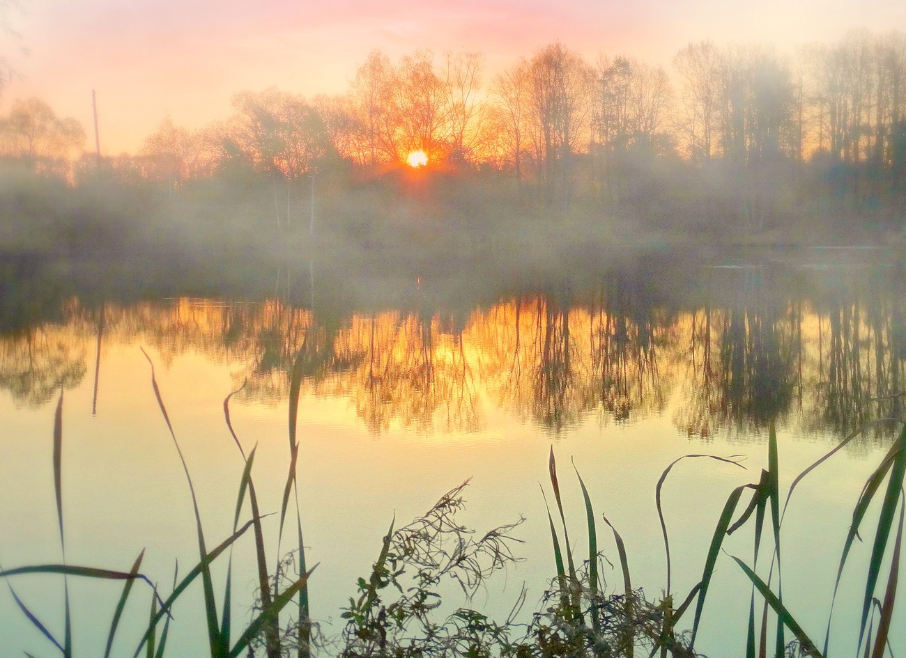 К вечеру стал опускаться туман
