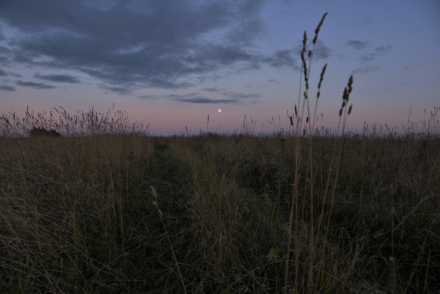 Смеркалось ...