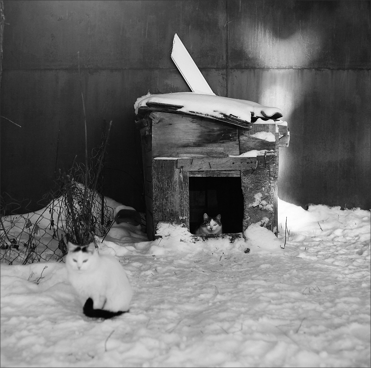 Тут все как надо