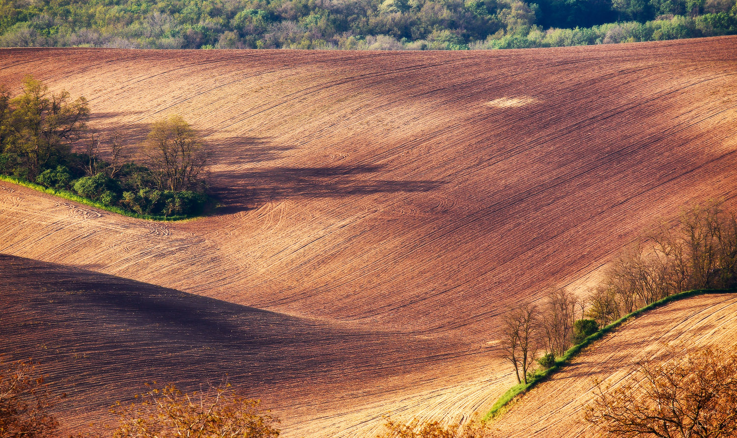 Тут все как надо