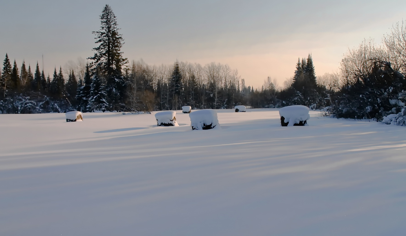 *ЗИМНИЙ ДЕНЬ.**