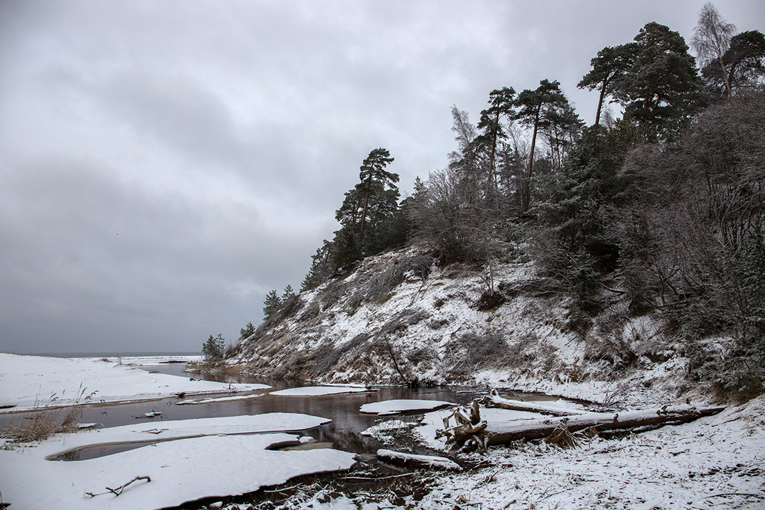 Оттенки серого