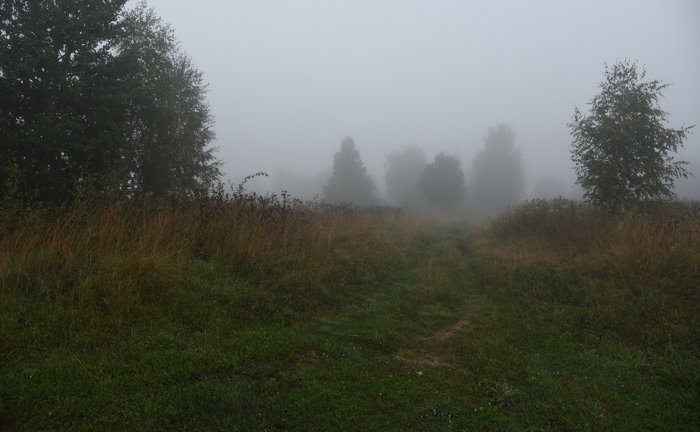 На рассвете ...