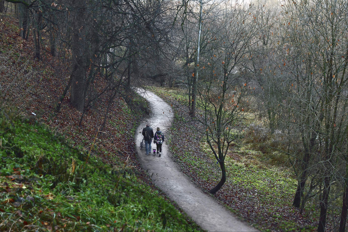 в начале пути...