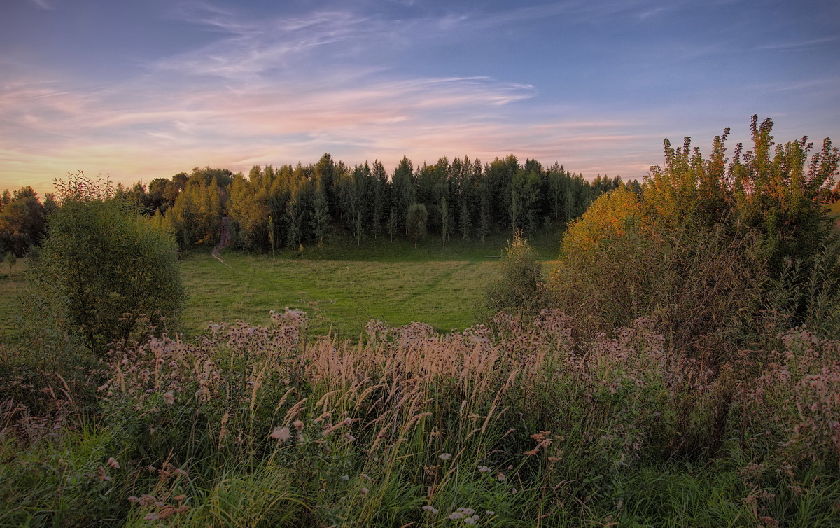 Вечерняя поляна