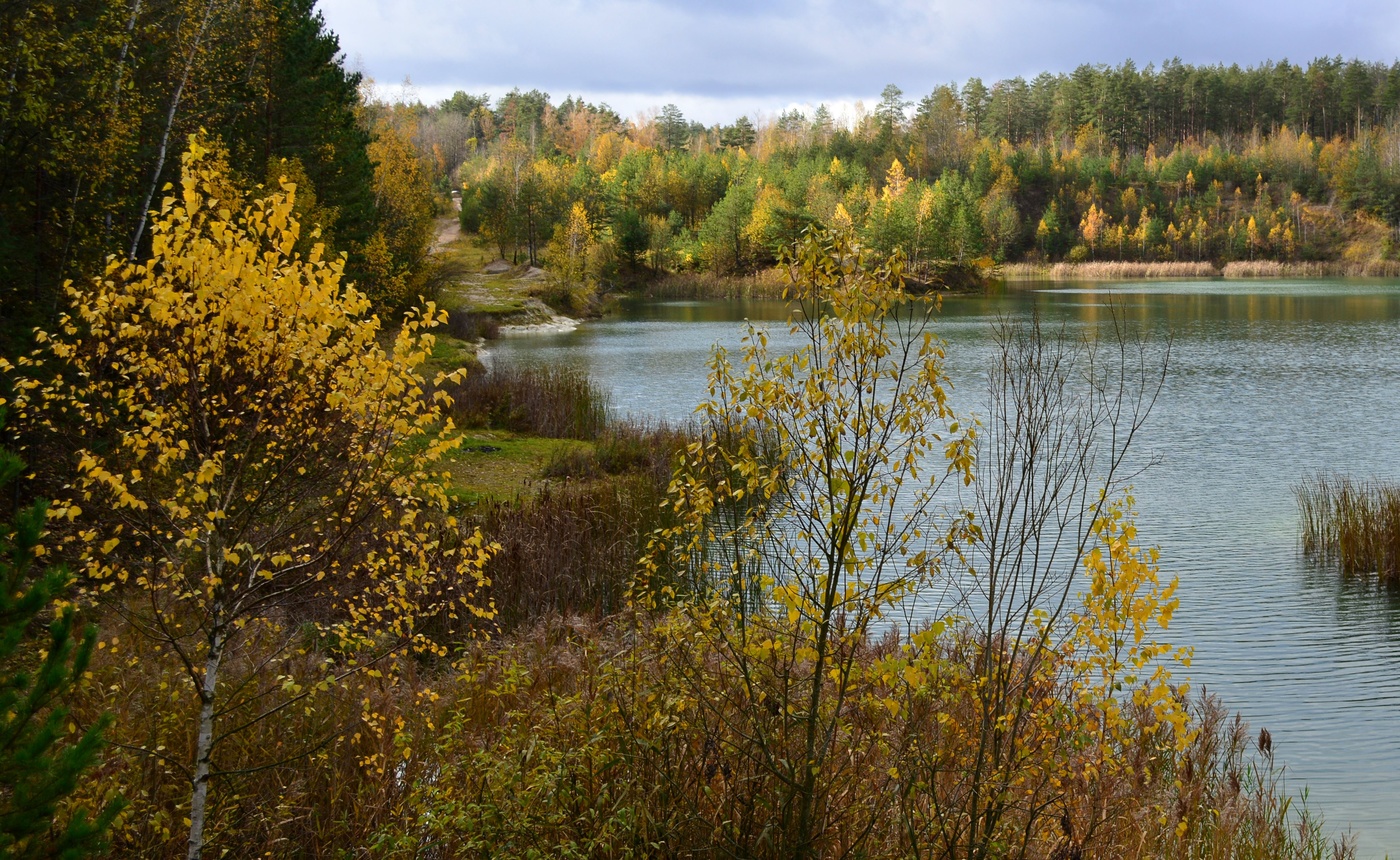 С высокого берега