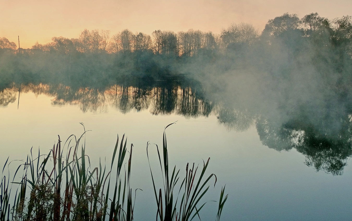 Осенние сны