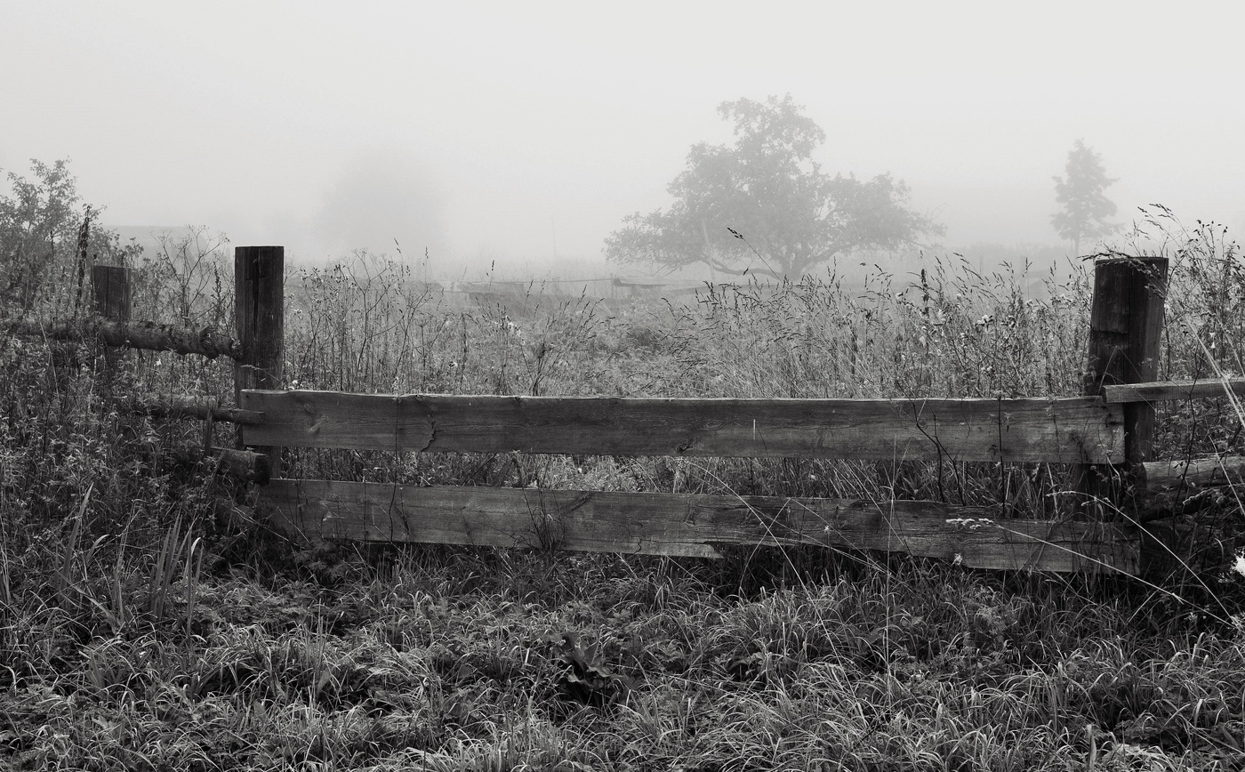 Утренний этюд ...