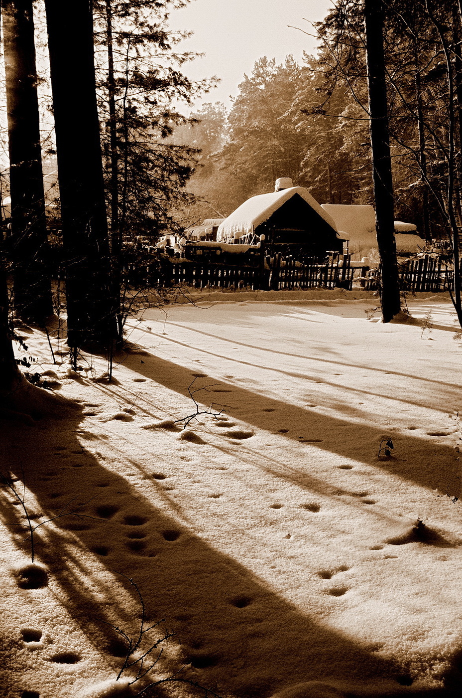 ДОМИК В ЛЕСУ