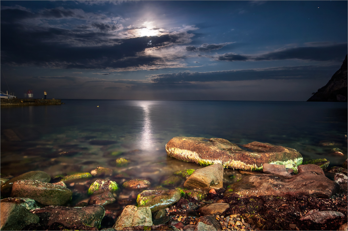 Ночная жизнь моря