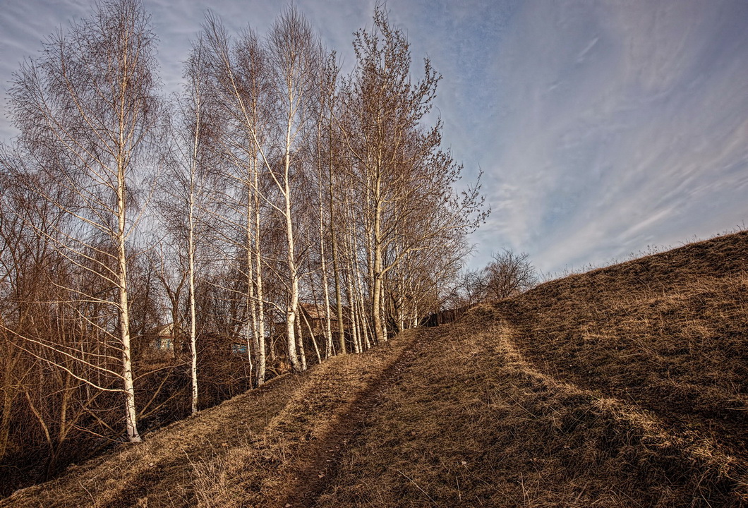 Тропинки весны