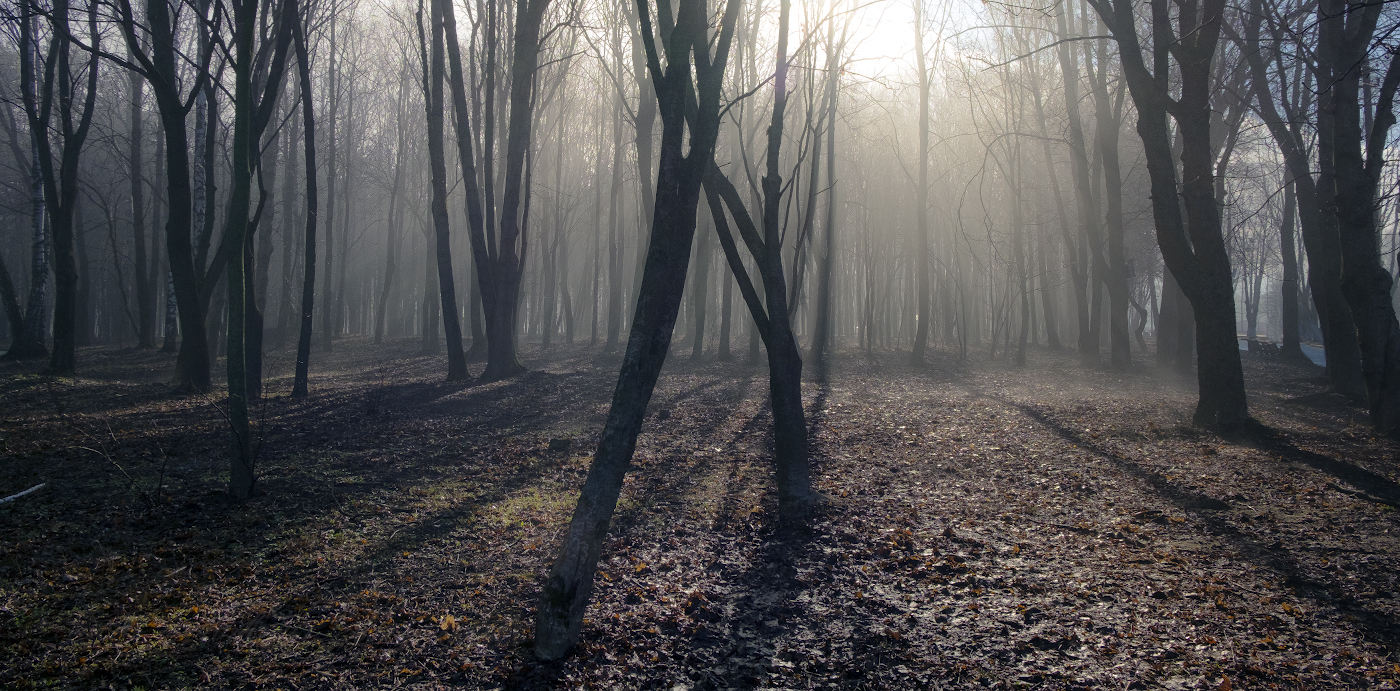 В ожидании весны