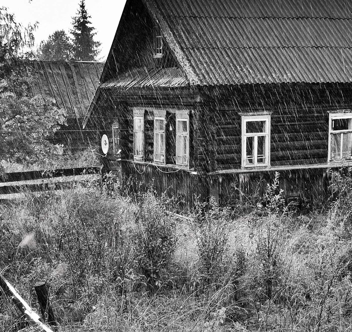 "Брызжет дождик через сито ..."