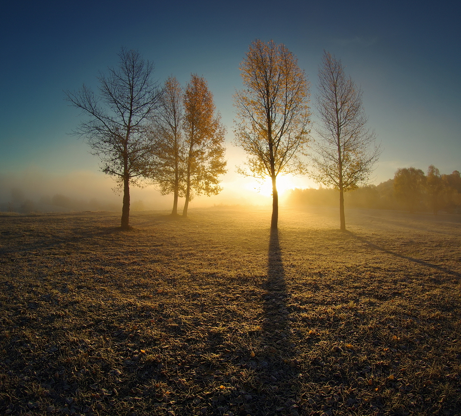 Свет клином не сошелся
