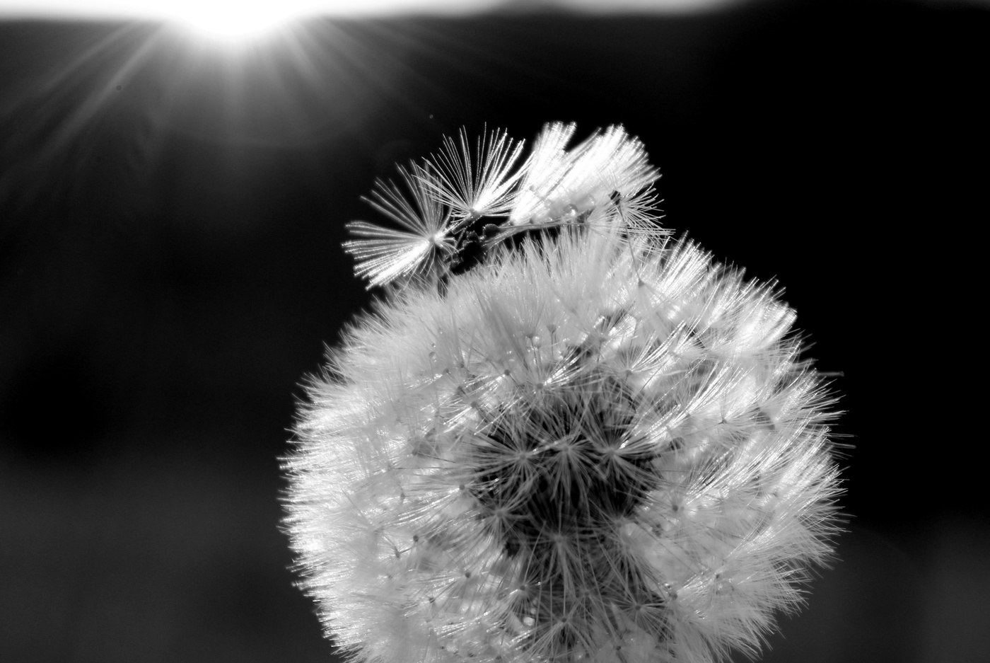 Свет клином не сошелся