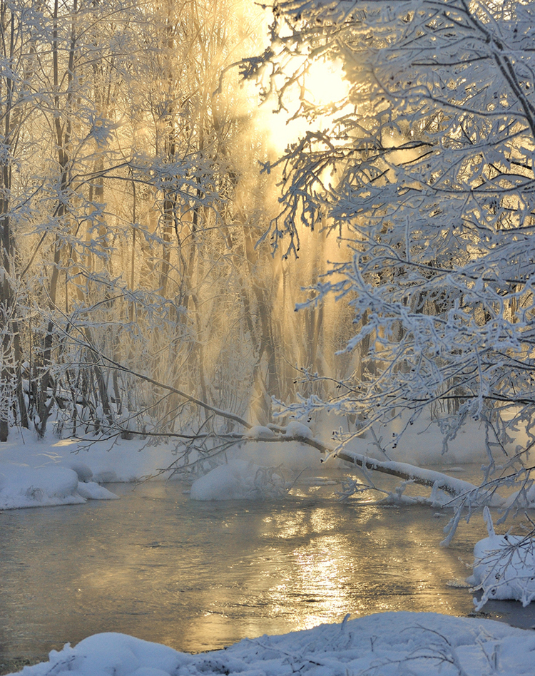 Свет меня позвал
