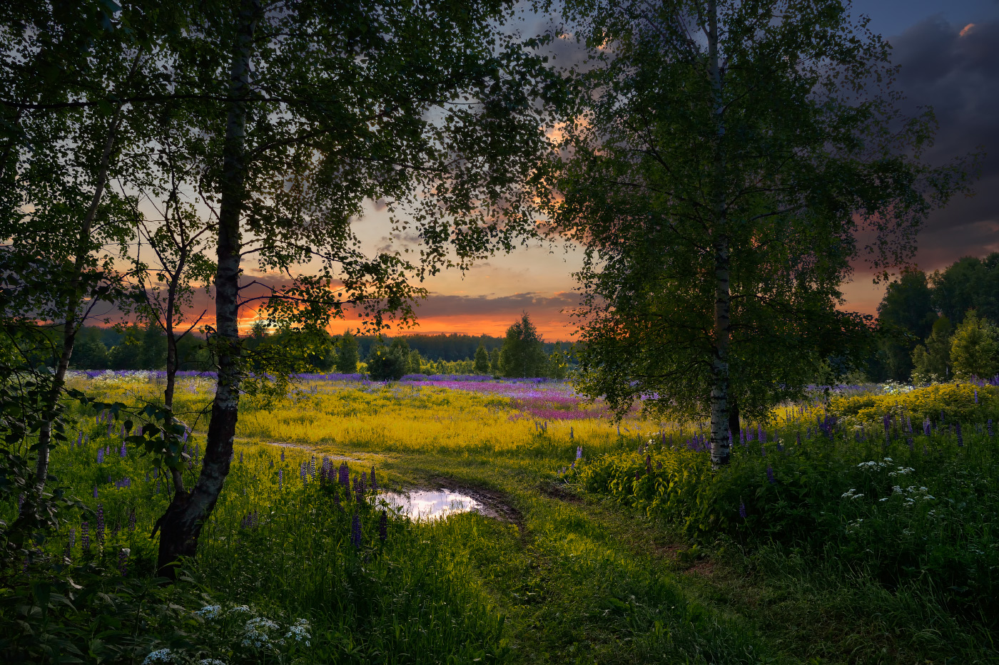 вечер после дождя