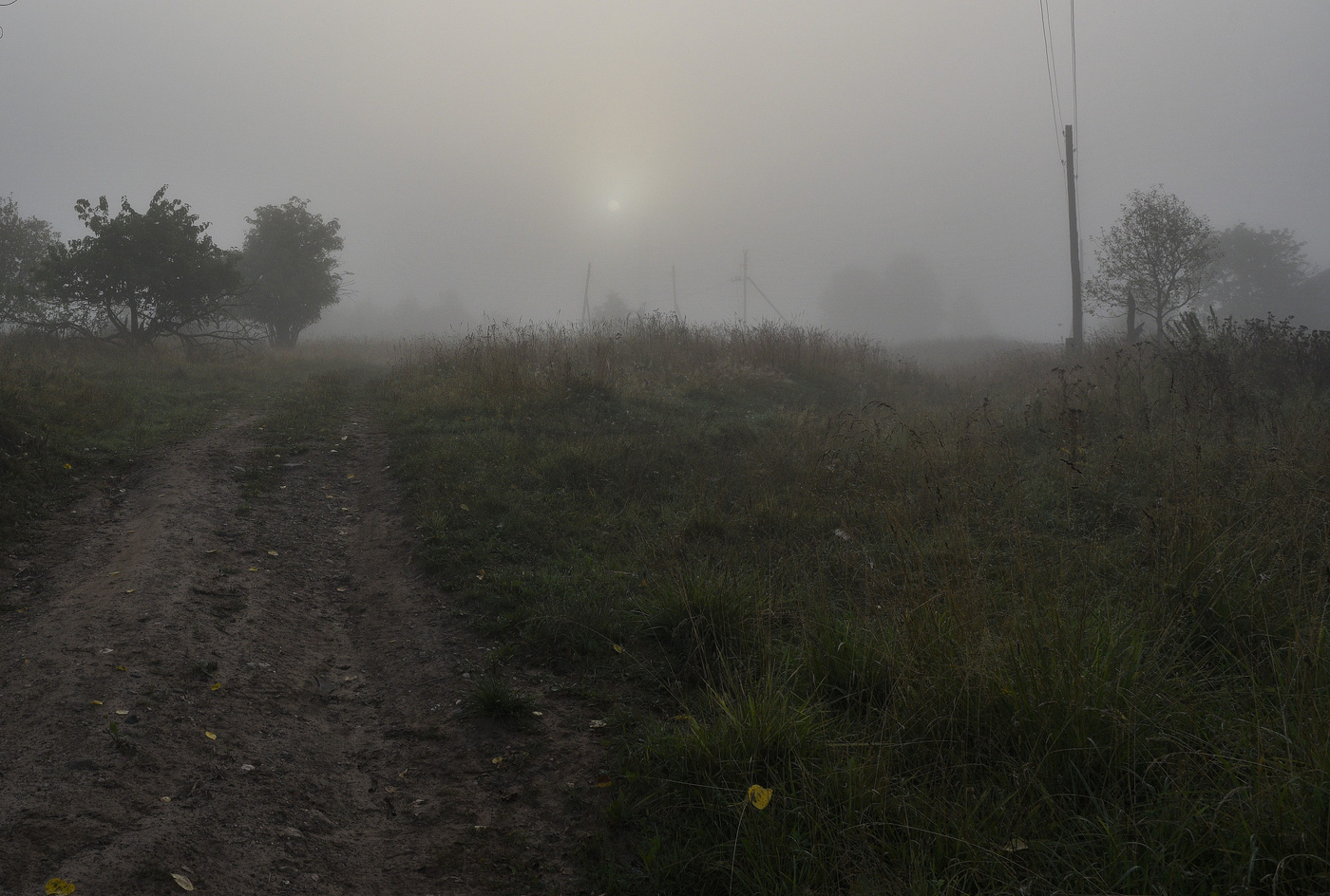 За околицей ...