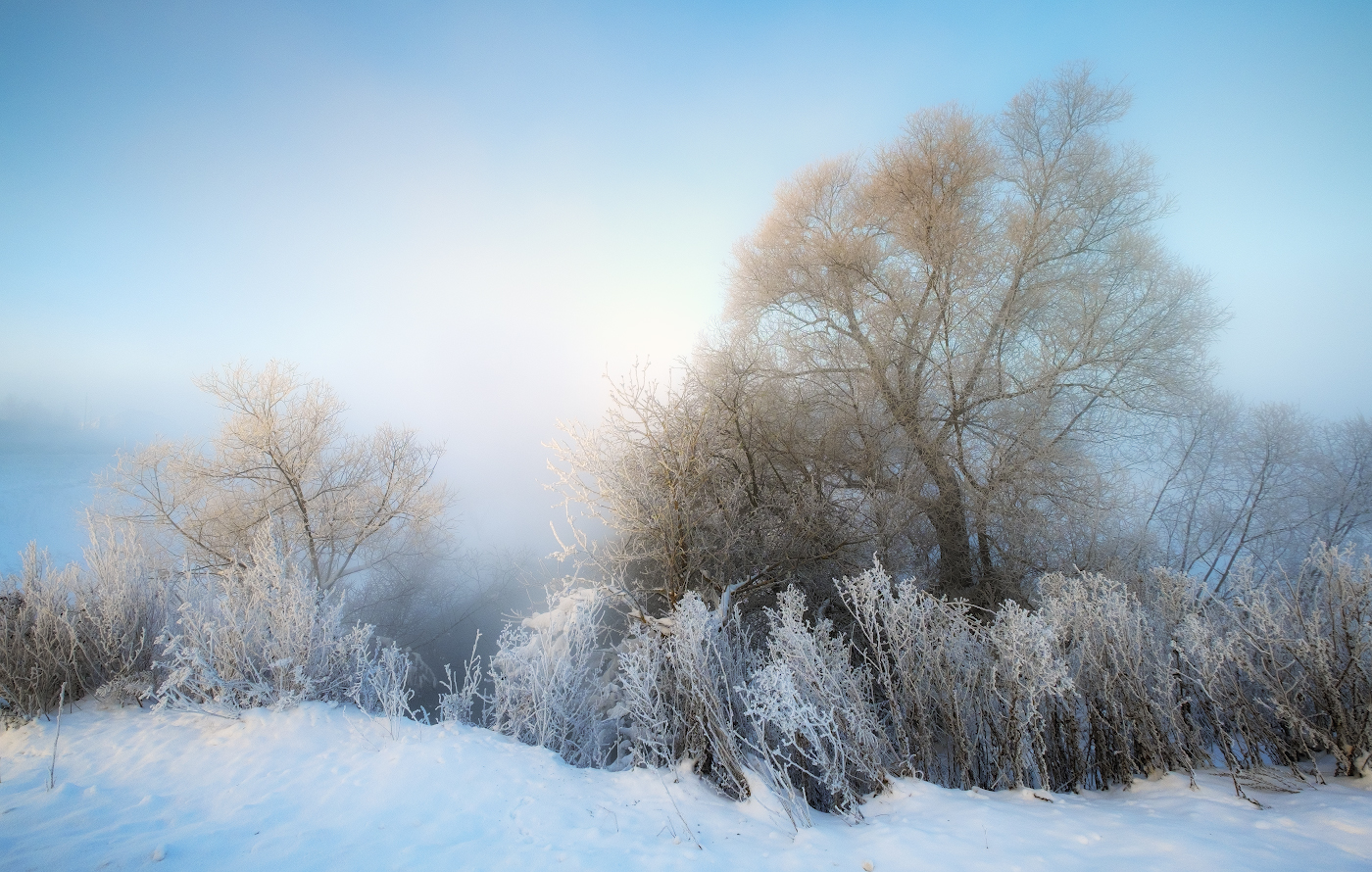 Зимняя феерия