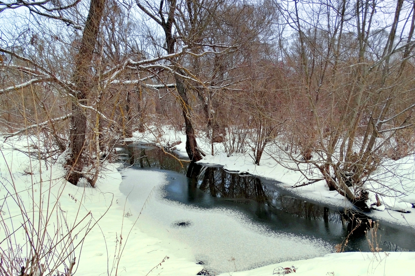 Ясный морозный день