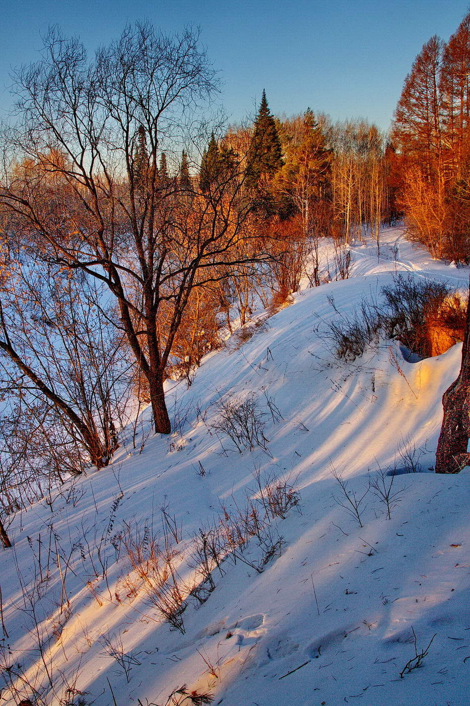 ВЕЧЕРНИЙ СВЕТ.