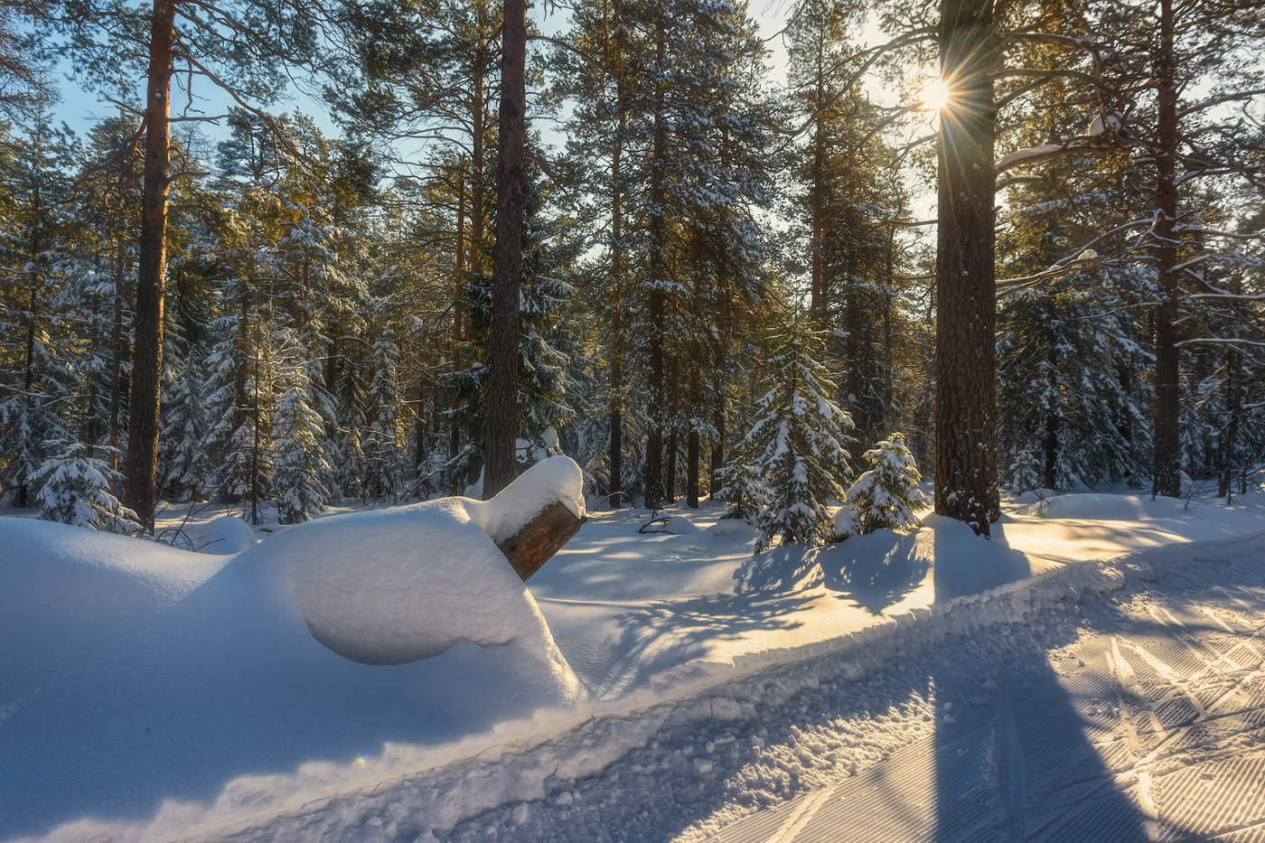 Полуденные тени